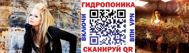 Как найти закладки Кушва МЕТАДОН  Кокаин  ГАШИШ  Меф  Канабис 