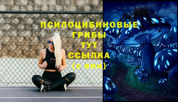 дживик Балабаново