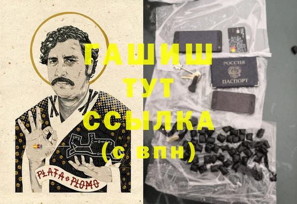 индика Сосновоборск